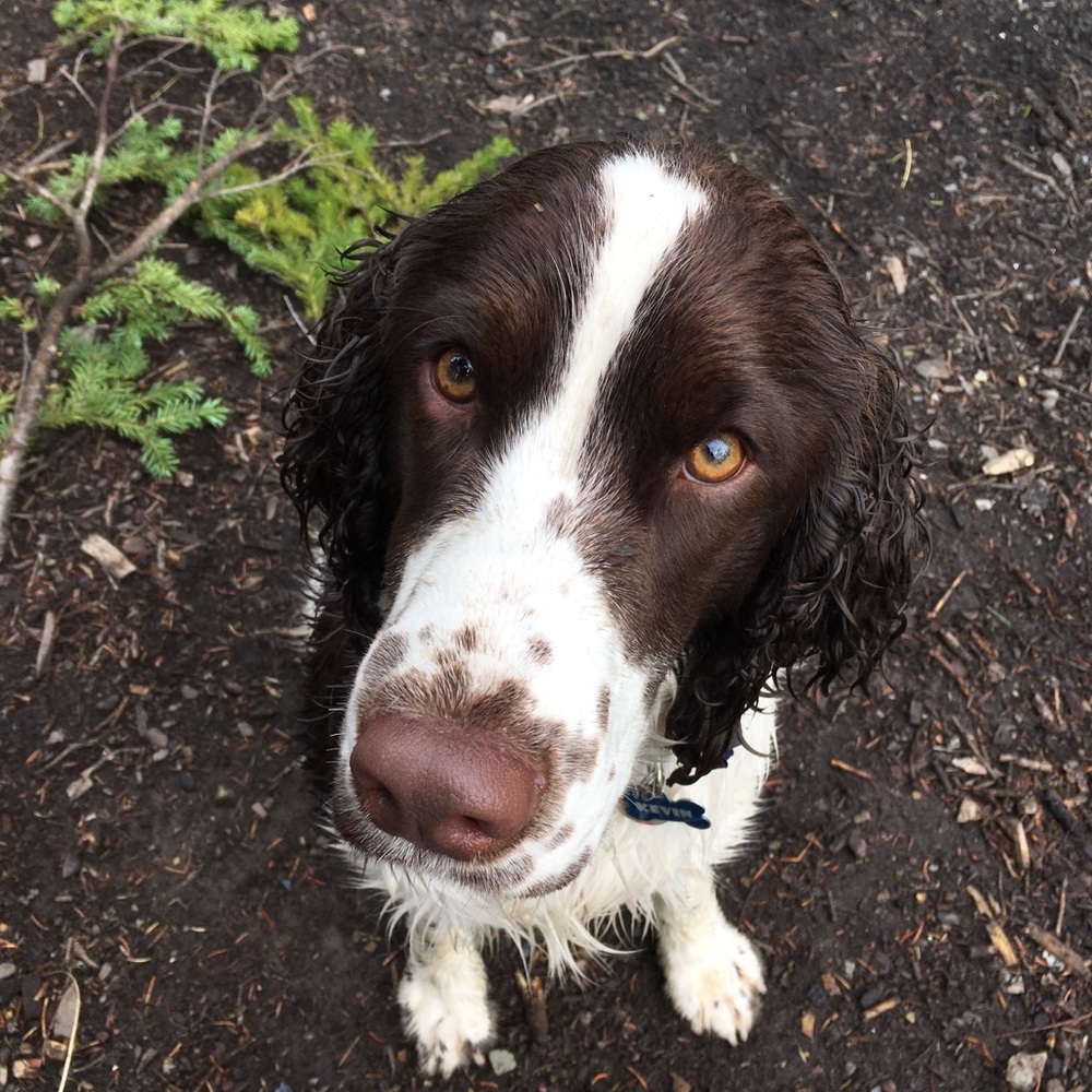 Meet your Posher, Gale